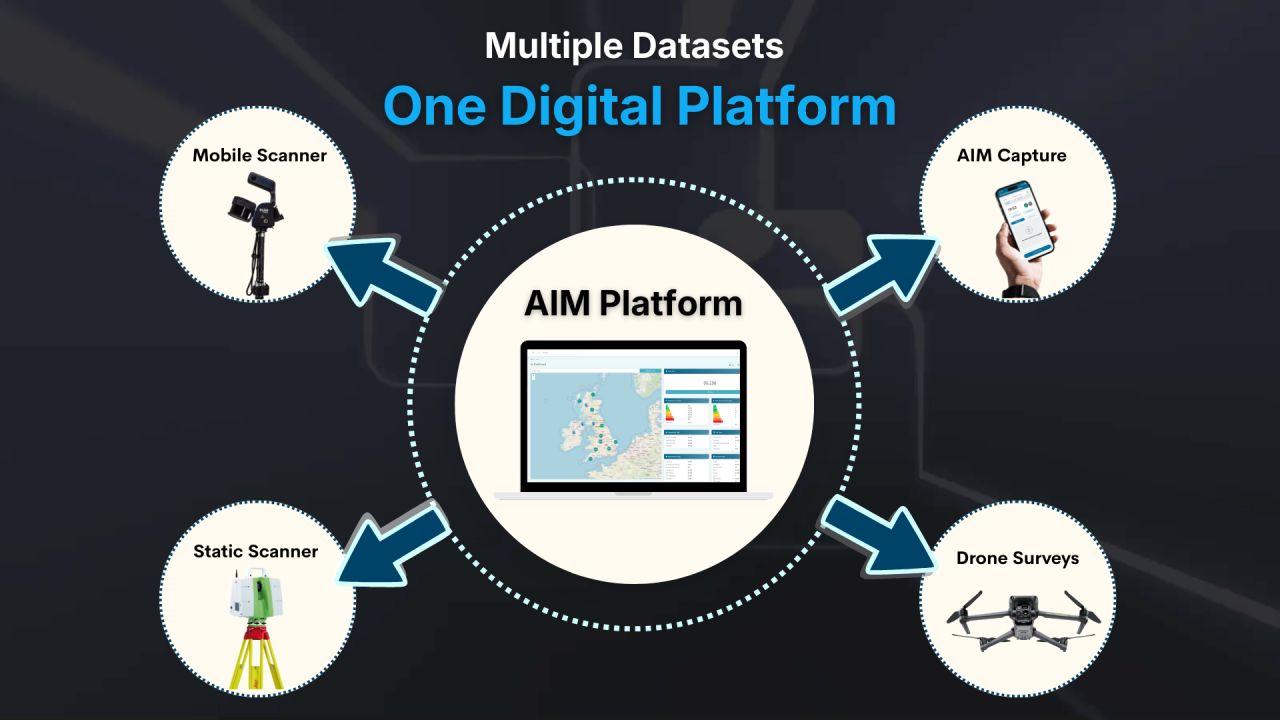 Multiple datasets in one digital platform